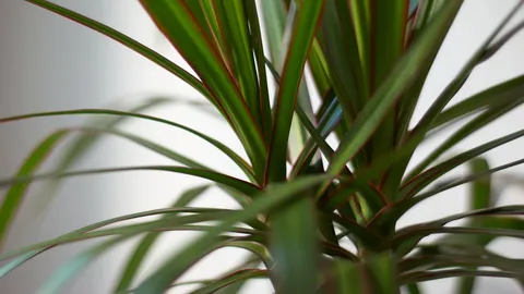 Nature photography