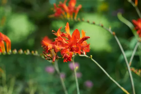 Nature photography