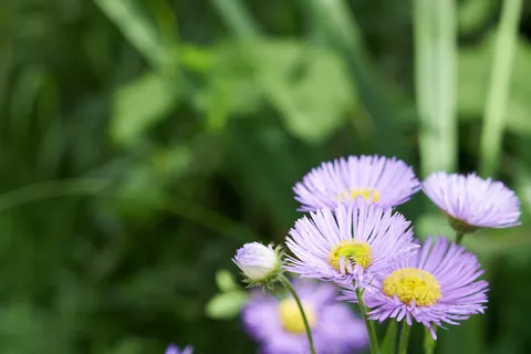 Nature photography