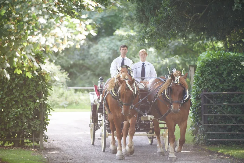 Weddings photography