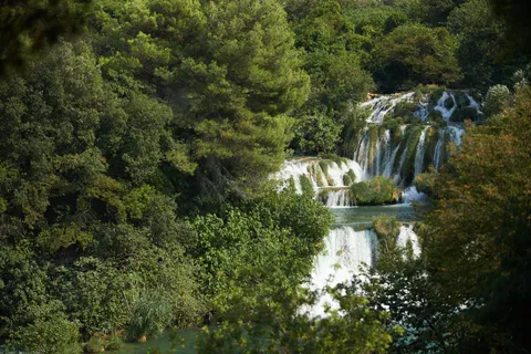 Nature photography