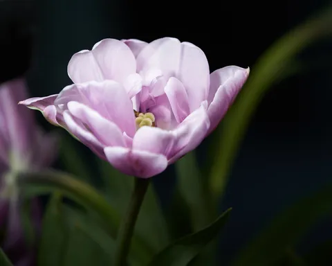 Nature photography
