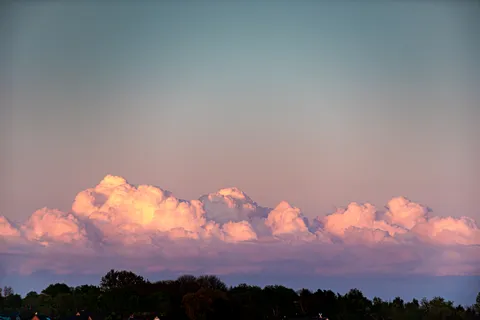 Nature photography