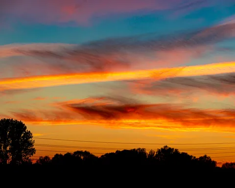Nature photography