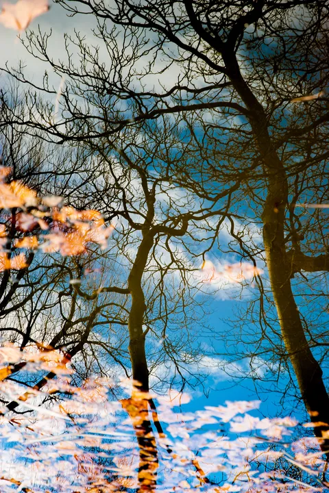 Nature photography