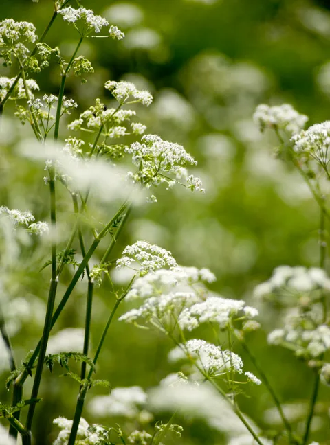 Nature photography