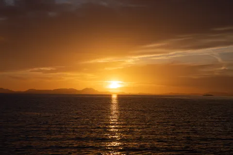 Nature photography