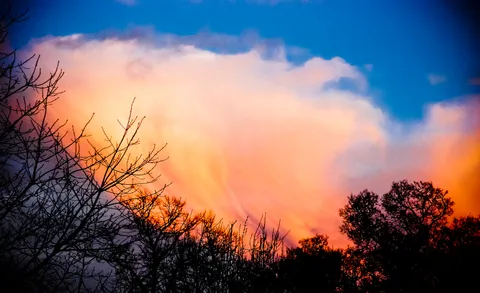 Nature photography