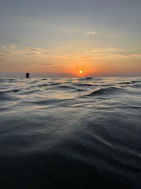 Nature photography