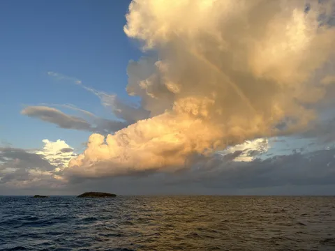 Nature photography